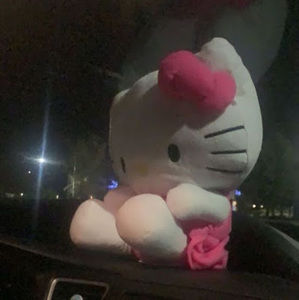 Meet your Posher, Daja